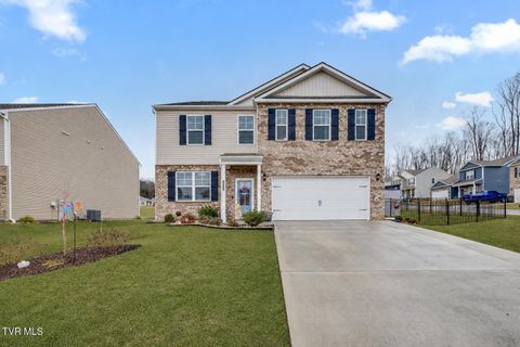 Photo of 2330 Evarts Hill Drive, Kingsport, TN 37664 (MLS # 9995682)