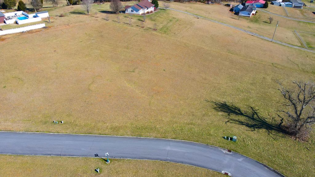 Photo of 16 Walnut Tree Drive, Church Hill, TN 37642 (MLS # 9933572)