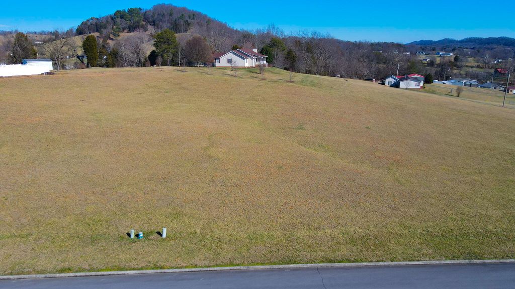 Photo of 16 Walnut Tree Drive, Church Hill, TN 37642 (MLS # 9933572)