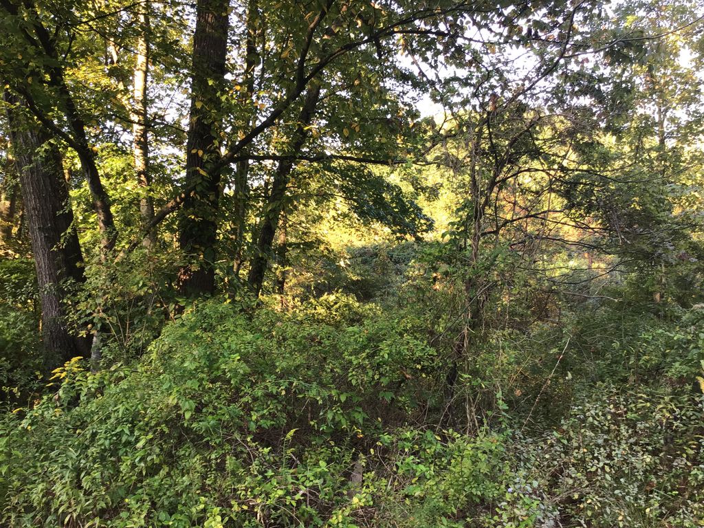 Photo of Tbd Us Hwy 23, Wise, VA 24293 (MLS # 9943615)