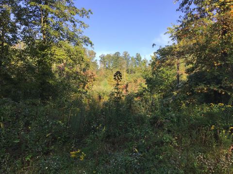Vacant Land For Sale - TBD Us Hwy 23<br/> Wise County, Wise, VA 24293