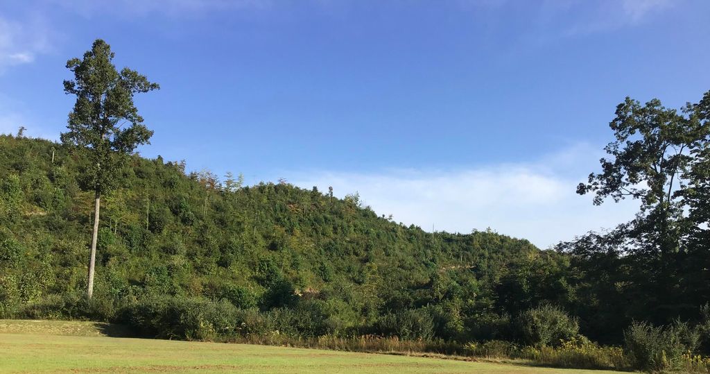 Photo of Tbd Us Hwy 23, Wise, VA 24293 (MLS # 9943615)