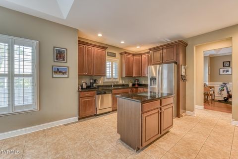 Tiny photo for 1016 Embassy Row, Johnson City, TN 37601 (MLS # 9984872)