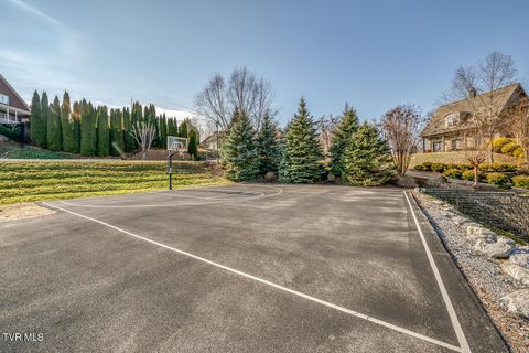 Tiny photo for 1016 Embassy Row, Johnson City, TN 37601 (MLS # 9984872)