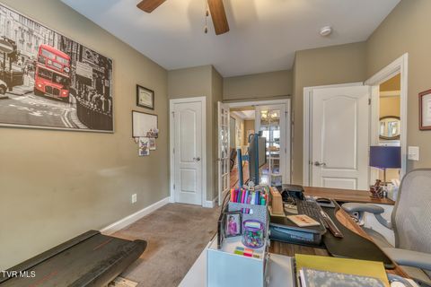 Tiny photo for 1016 Embassy Row, Johnson City, TN 37601 (MLS # 9984872)