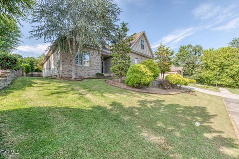 Tiny photo for 1016 Embassy Row, Johnson City, TN 37601 (MLS # 9984872)