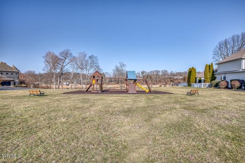 Tiny photo for 1016 Embassy Row, Johnson City, TN 37601 (MLS # 9984872)