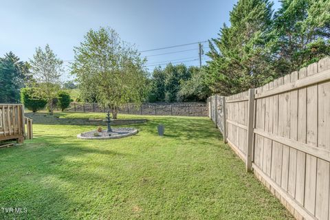 Tiny photo for 1016 Embassy Row, Johnson City, TN 37601 (MLS # 9984872)