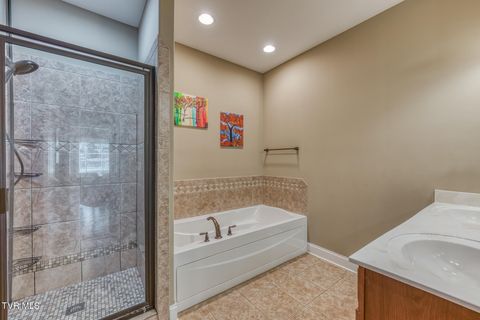 Tiny photo for 1016 Embassy Row, Johnson City, TN 37601 (MLS # 9984872)