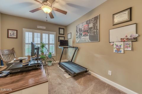 Tiny photo for 1016 Embassy Row, Johnson City, TN 37601 (MLS # 9984872)