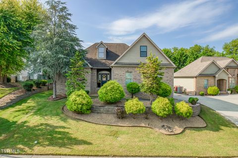 Tiny photo for 1016 Embassy Row, Johnson City, TN 37601 (MLS # 9984872)