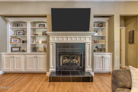 Tiny photo for 1016 Embassy Row, Johnson City, TN 37601 (MLS # 9984872)