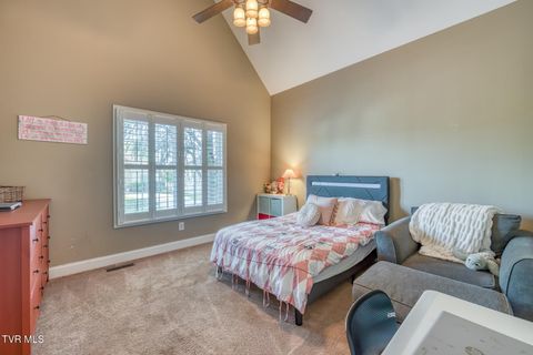 Tiny photo for 1016 Embassy Row, Johnson City, TN 37601 (MLS # 9984872)