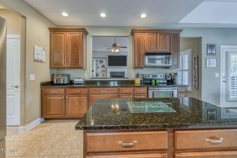 Tiny photo for 1016 Embassy Row, Johnson City, TN 37601 (MLS # 9984872)