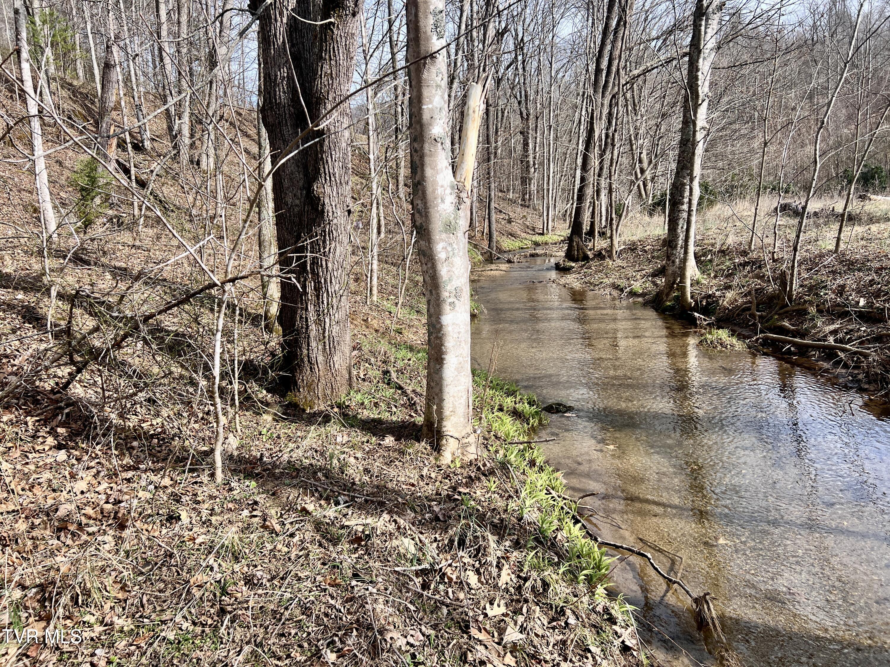 00 Mccurry Road, Unicoi, Tennessee image 14