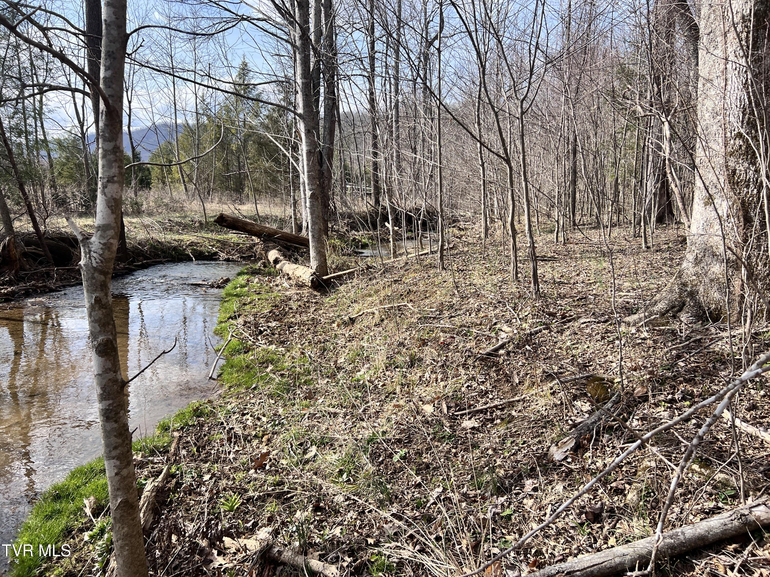 00 Mccurry Road, Unicoi, Tennessee image 15