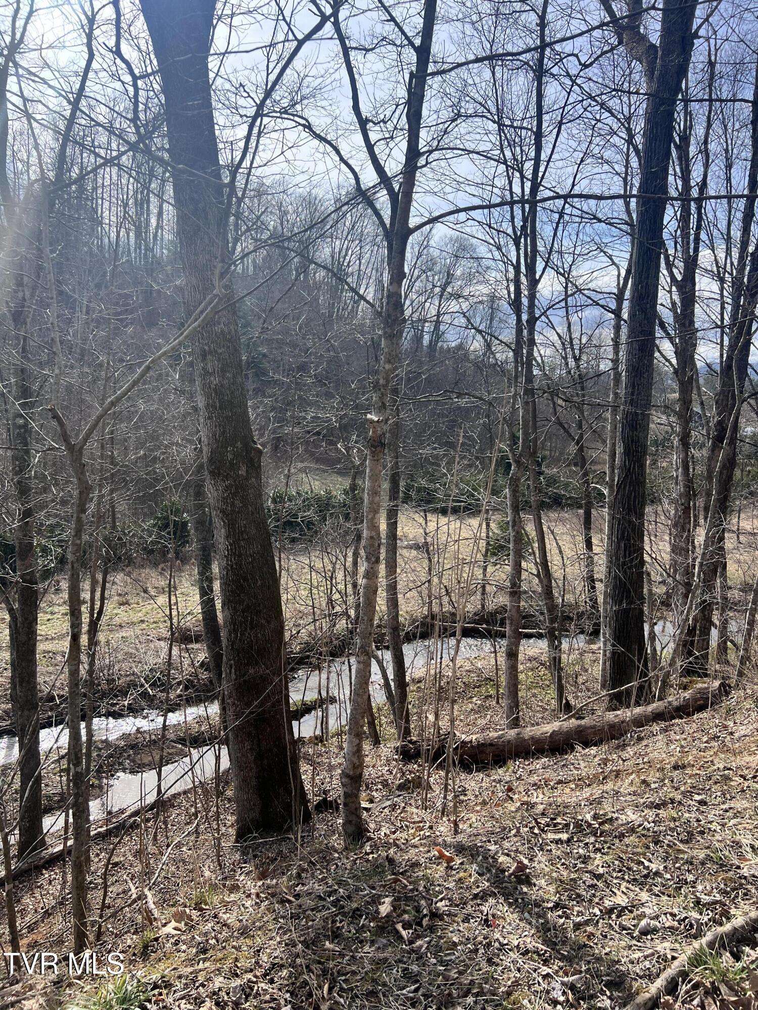 00 Mccurry Road, Unicoi, Tennessee image 9