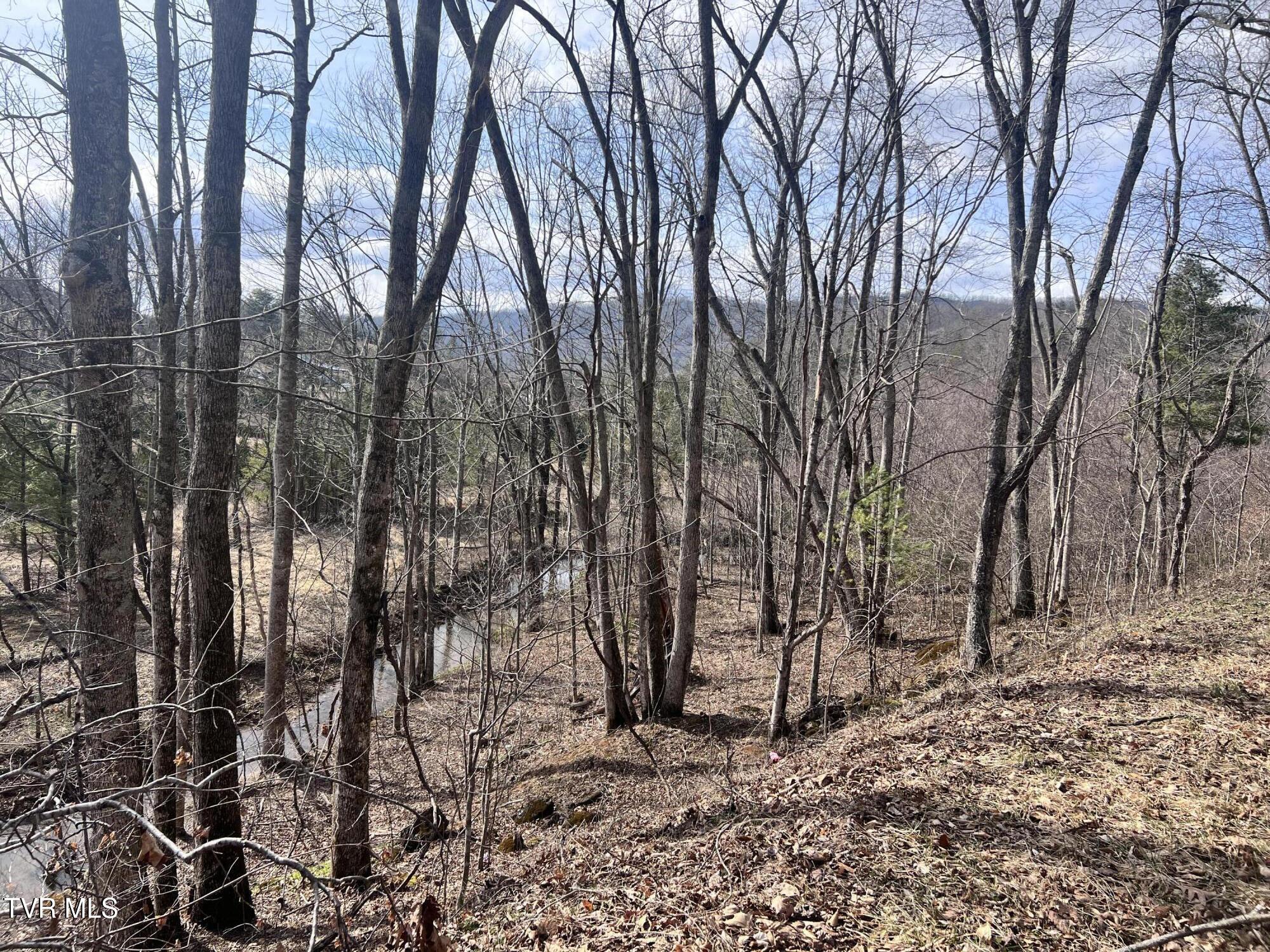00 Mccurry Road, Unicoi, Tennessee image 11