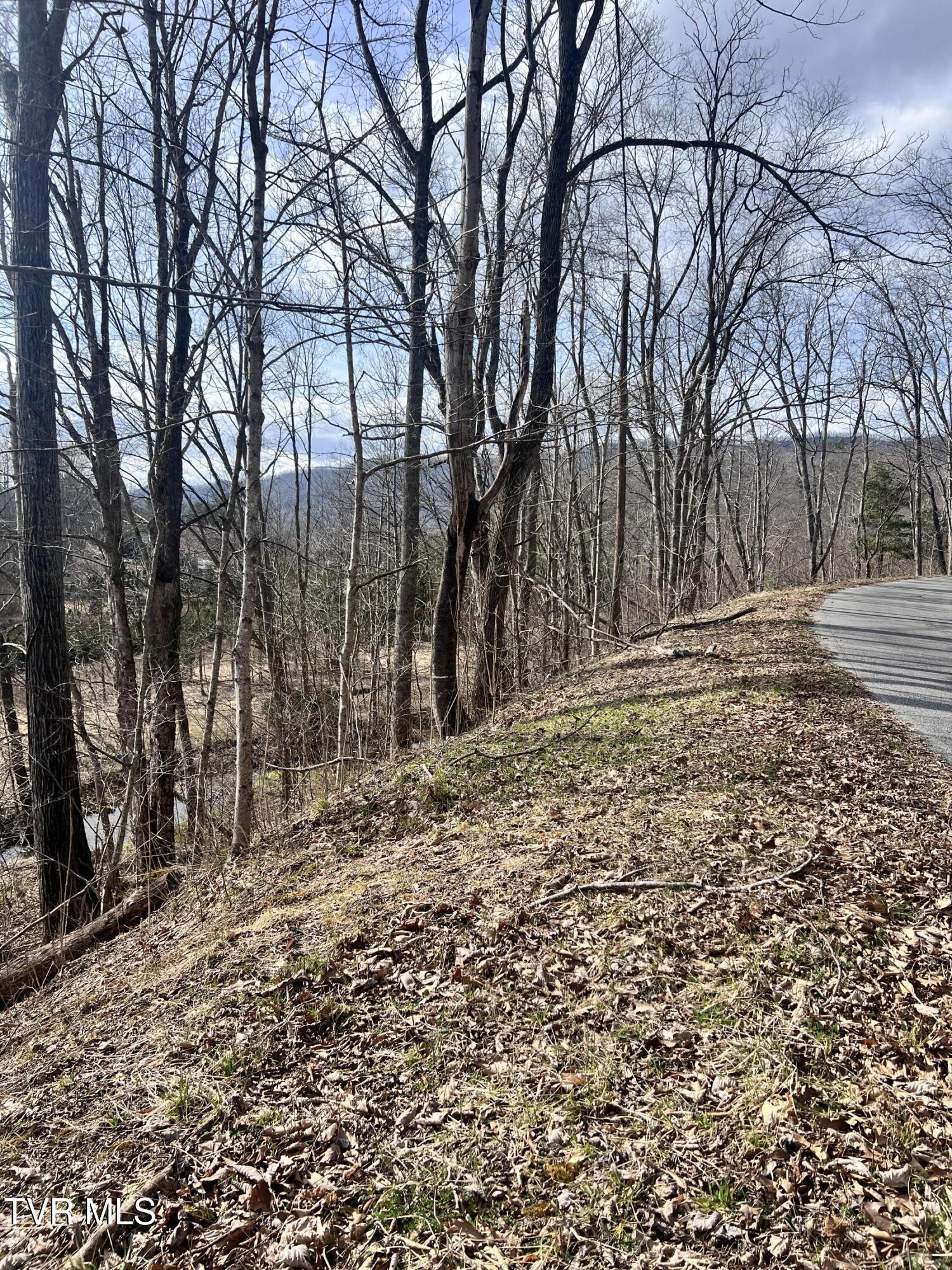 00 Mccurry Road, Unicoi, Tennessee image 10