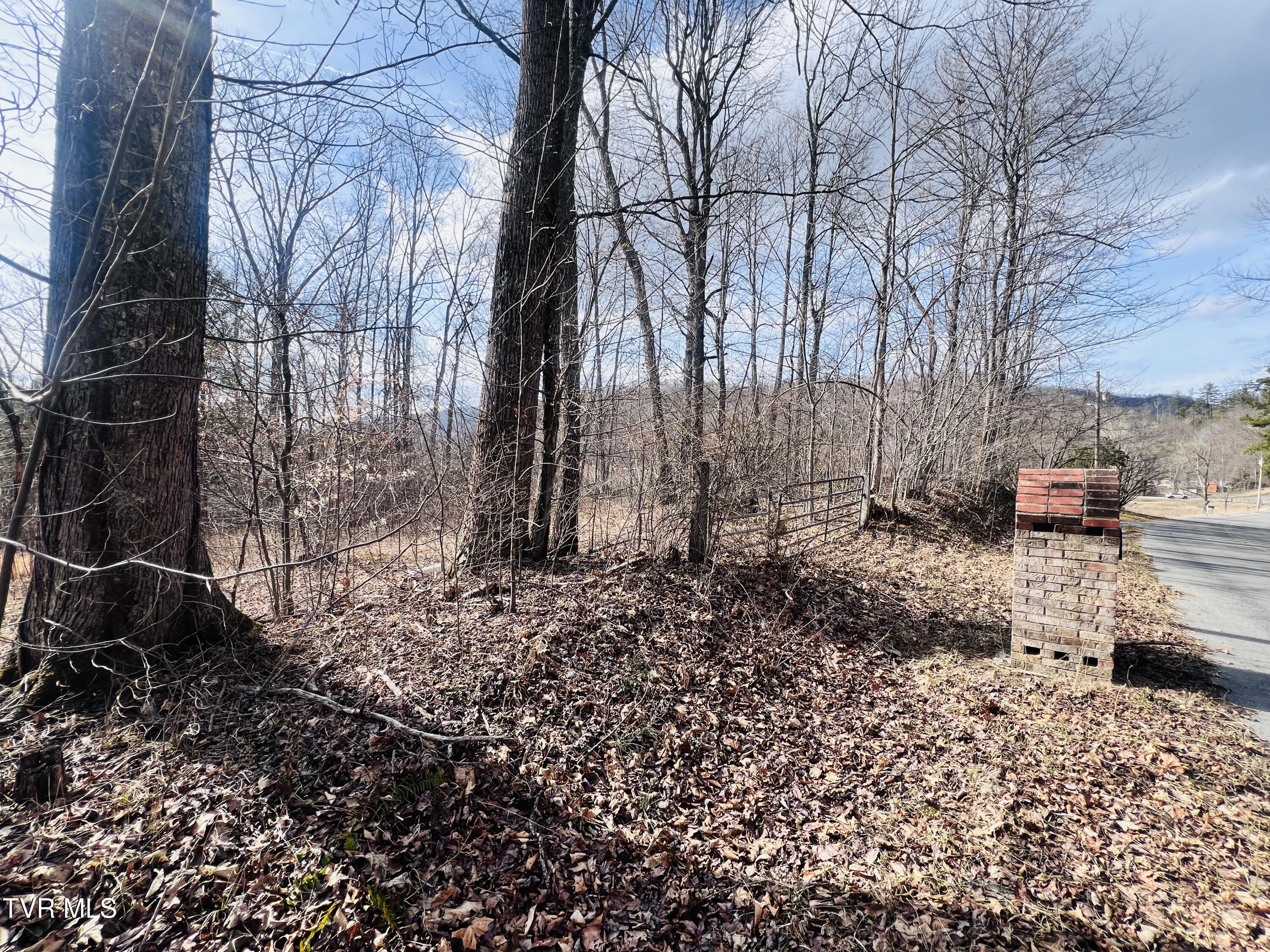 00 Mccurry Road, Unicoi, Tennessee image 7