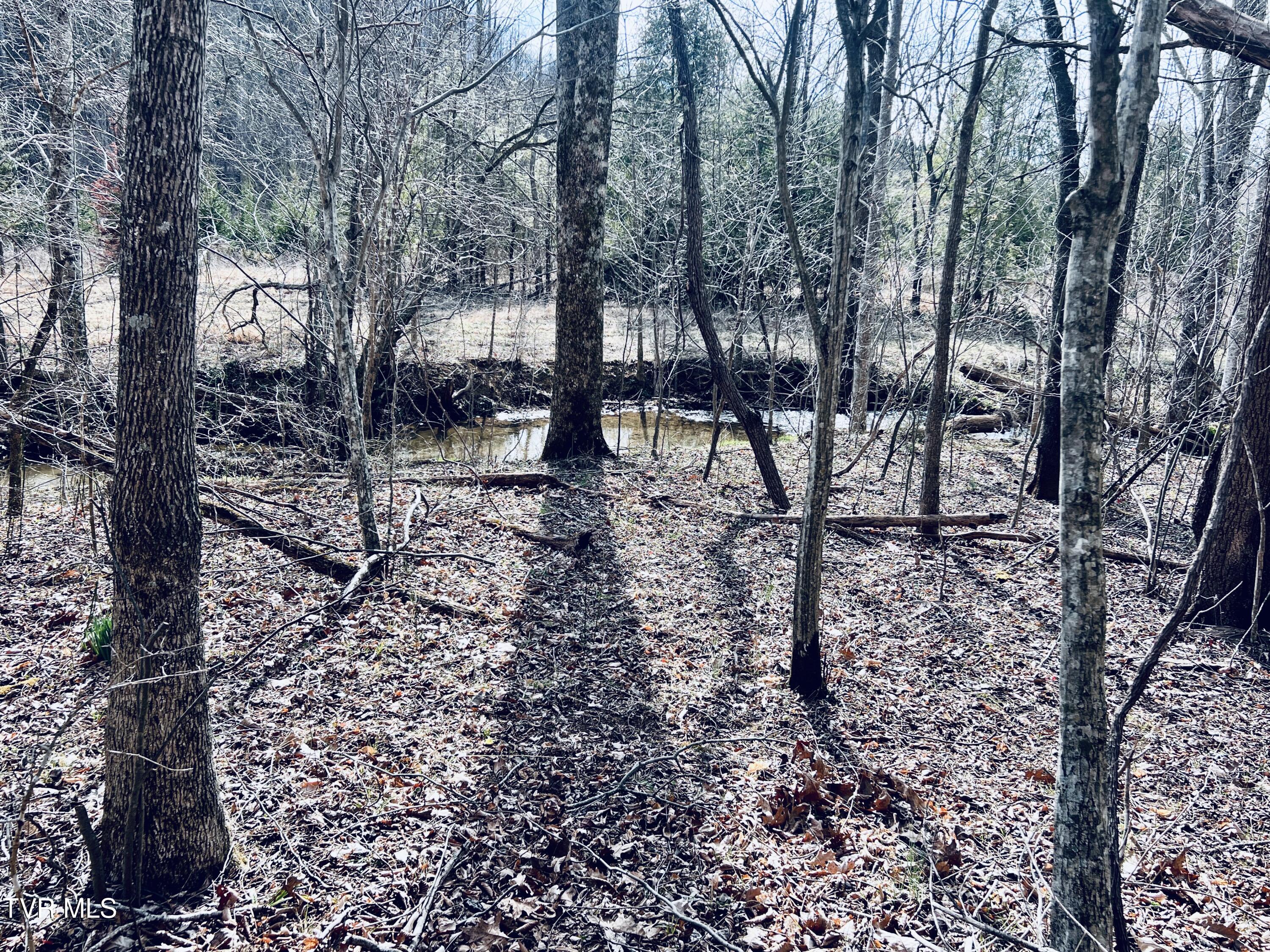 00 Mccurry Road, Unicoi, Tennessee image 2