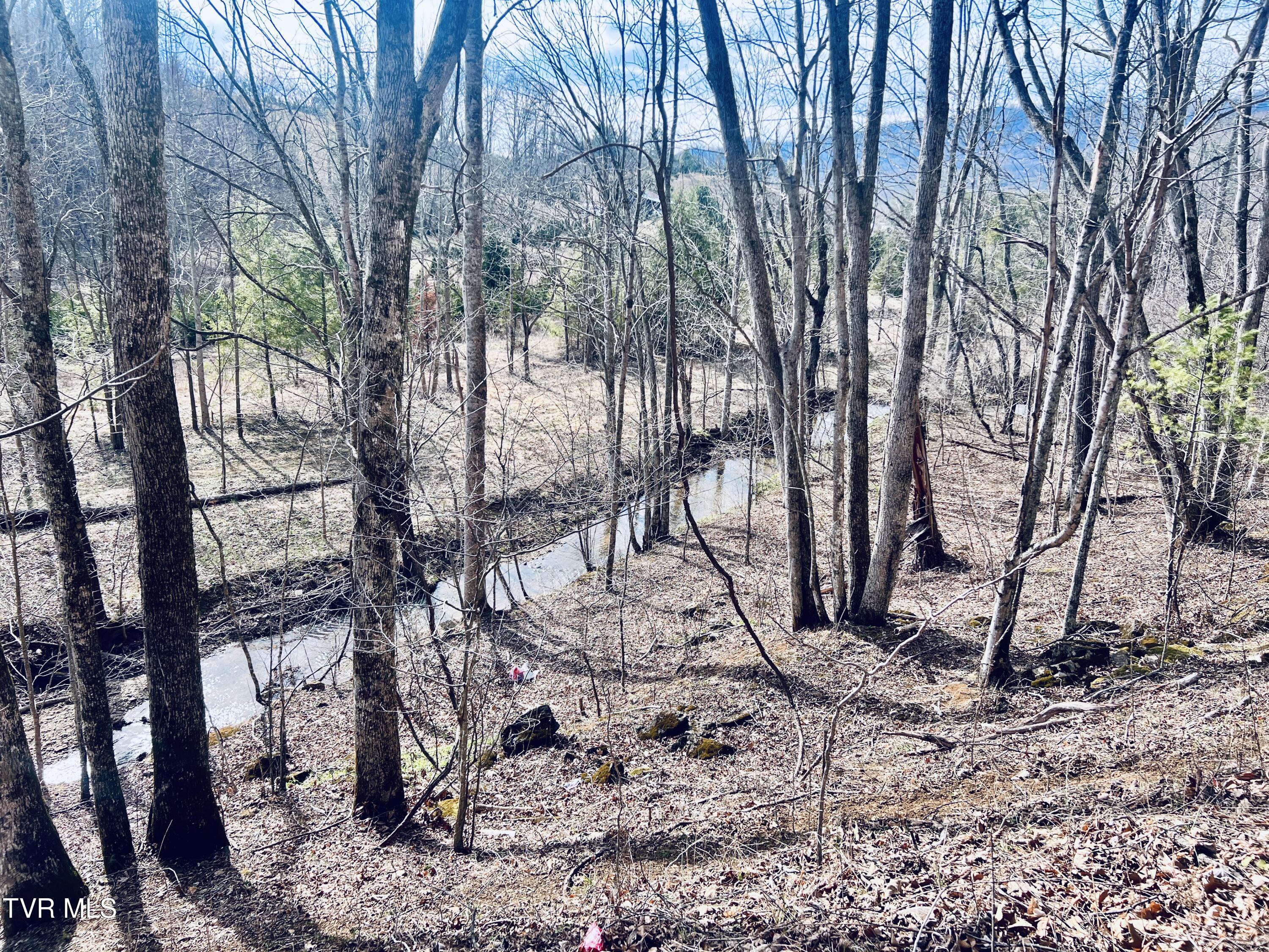 00 Mccurry Road, Unicoi, Tennessee image 1