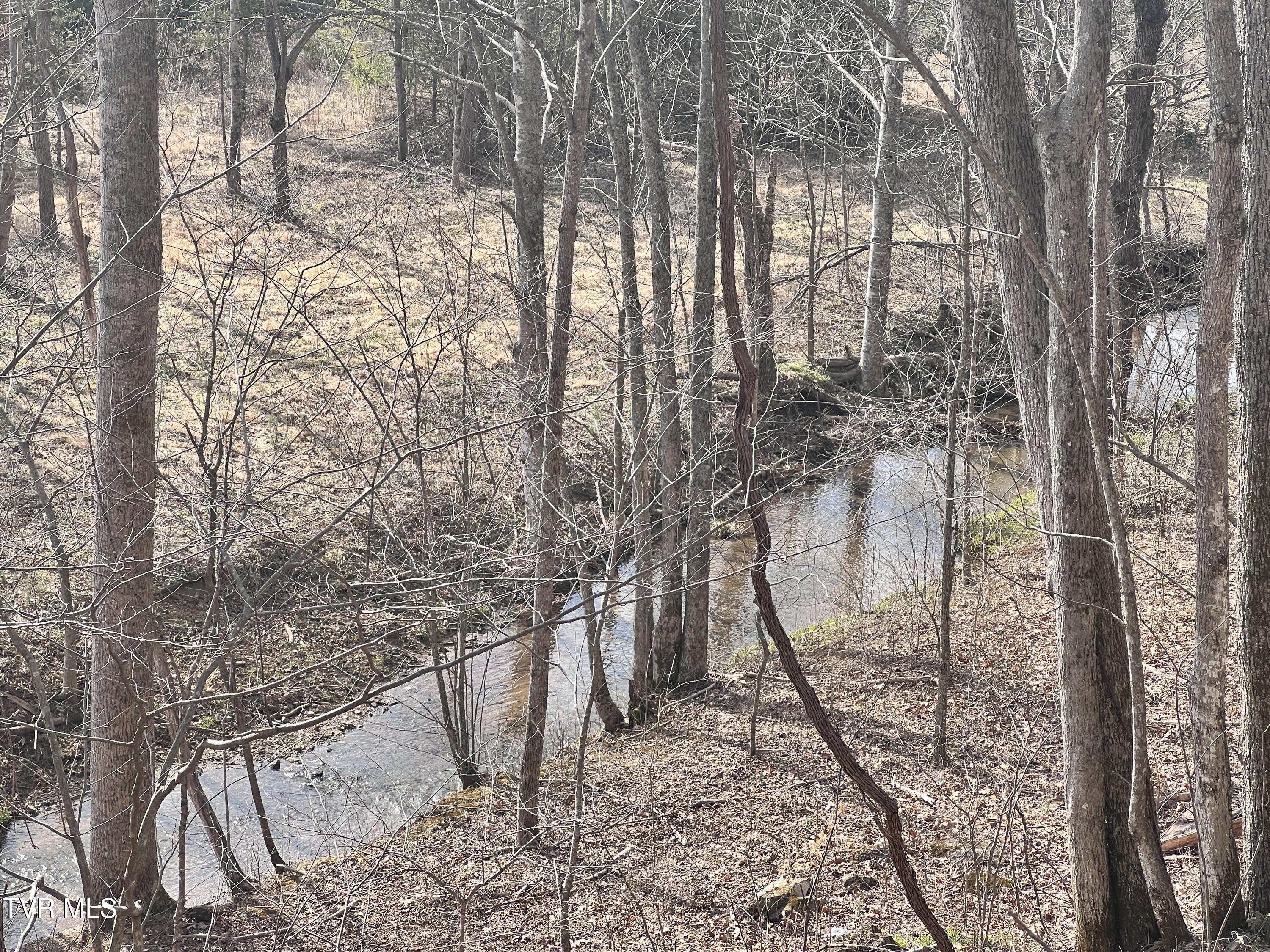 00 Mccurry Road, Unicoi, Tennessee image 12