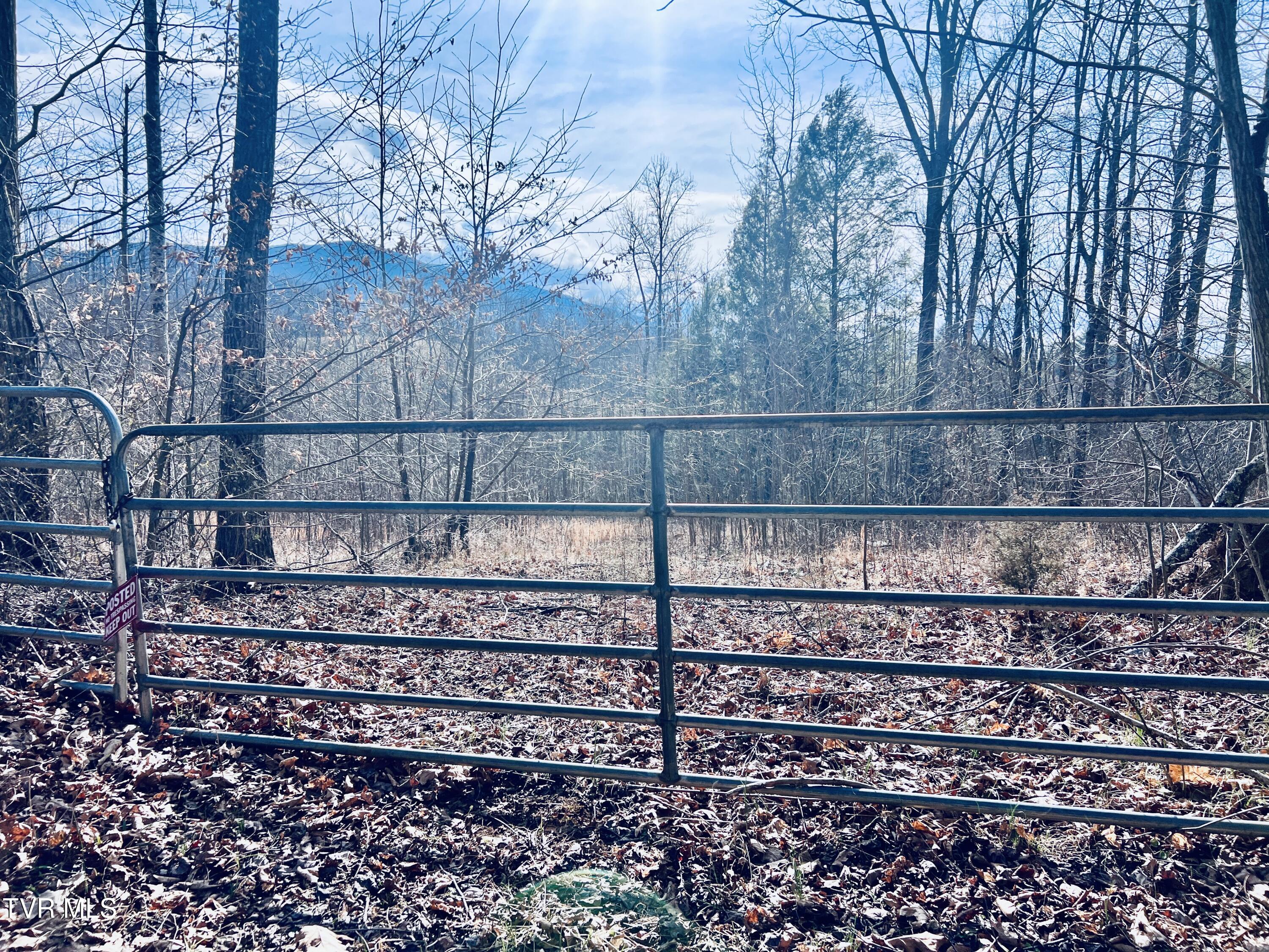 00 Mccurry Road, Unicoi, Tennessee image 5