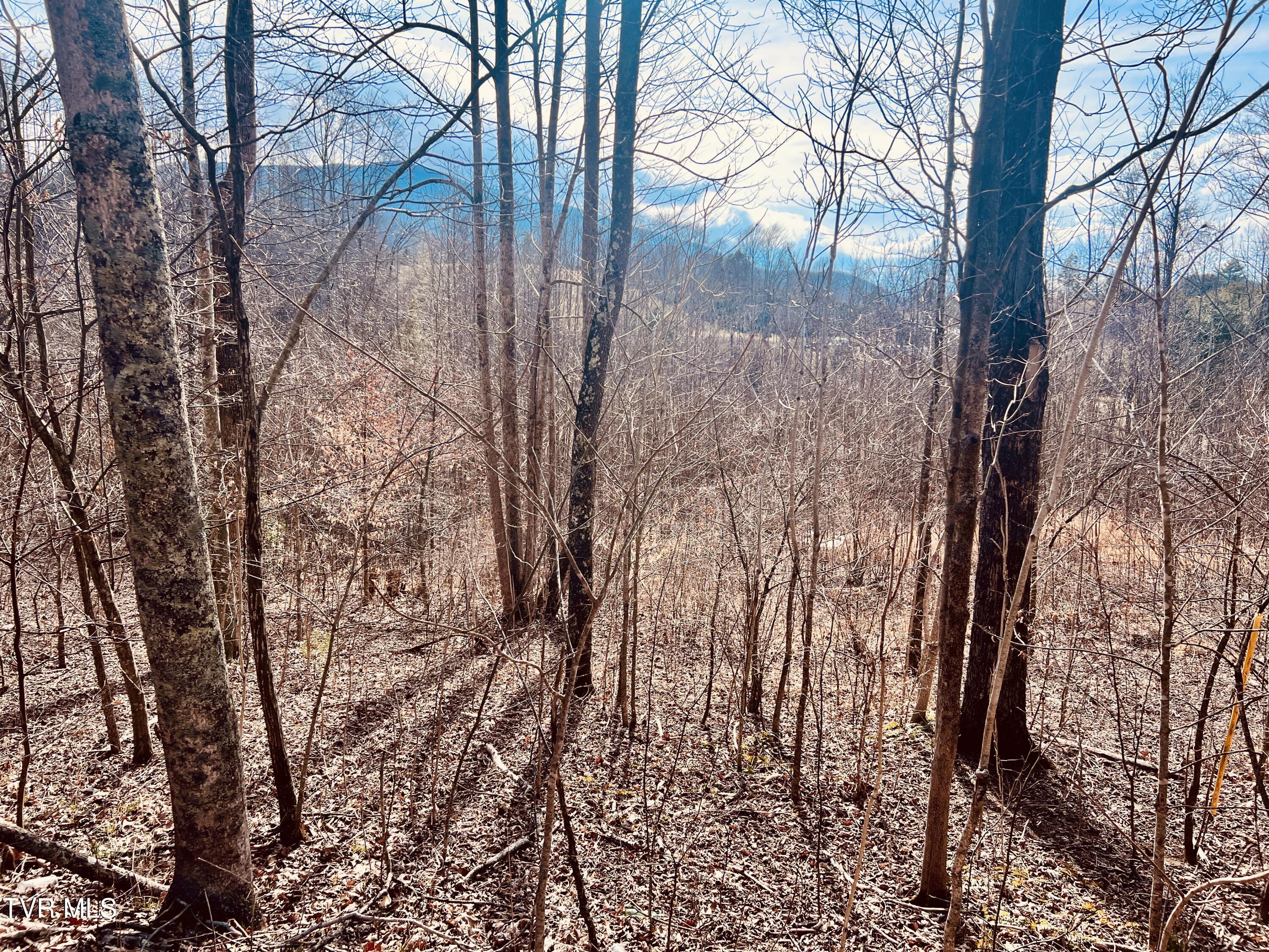 00 Mccurry Road, Unicoi, Tennessee image 4