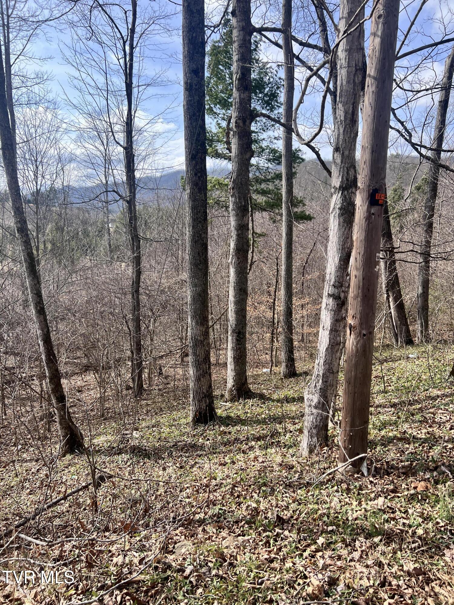 00 Mccurry Road, Unicoi, Tennessee image 3
