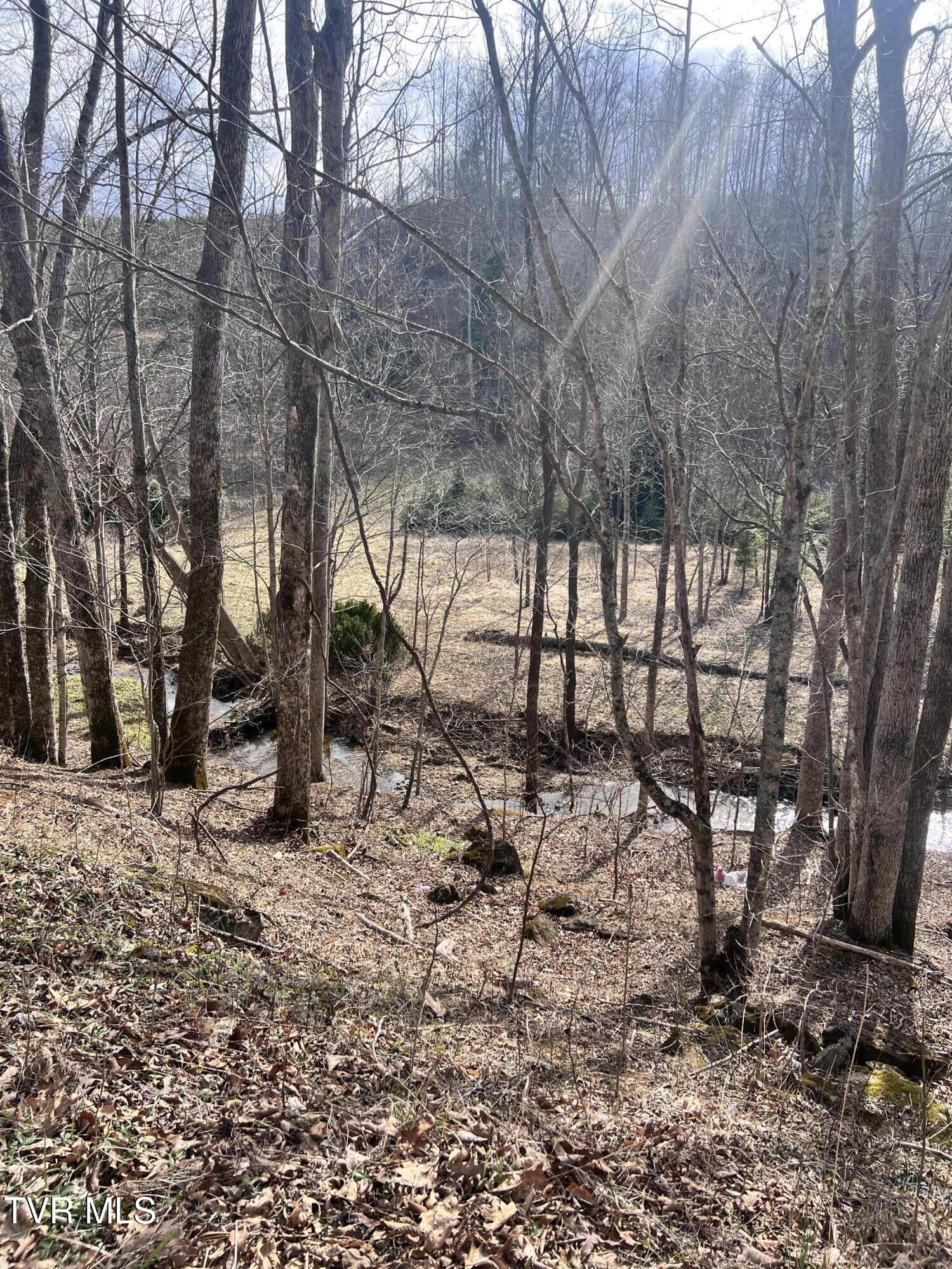 00 Mccurry Road, Unicoi, Tennessee image 8