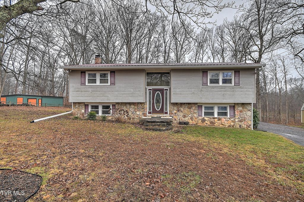 Photo of 156 Reynolds Hills Drive, Rogersville, TN 37857 (MLS # 9989987)