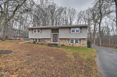 Photo of 156 Reynolds Hills Drive, Rogersville, TN 37857 (MLS # 9989987)