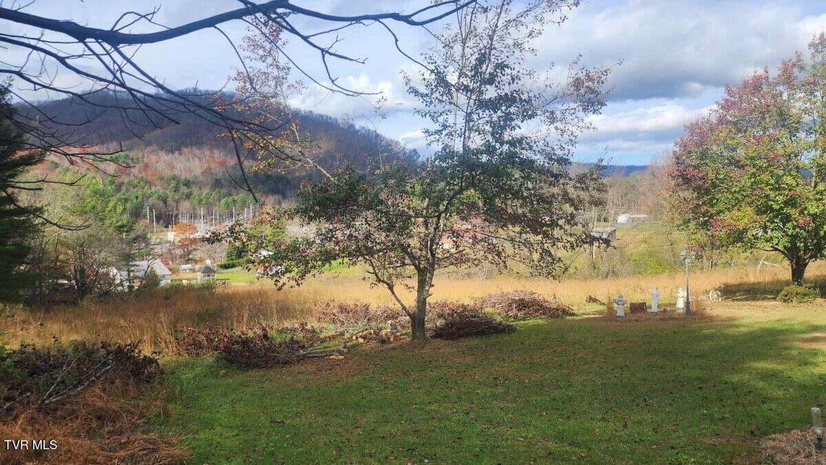 295 Larrys Lane, Mountain City, Tennessee image 18