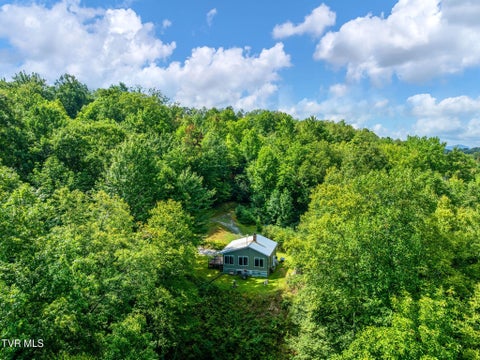 Vacant Land For Sale - 1887 Dennis Cove Road<br/> Hampton, TN 37658