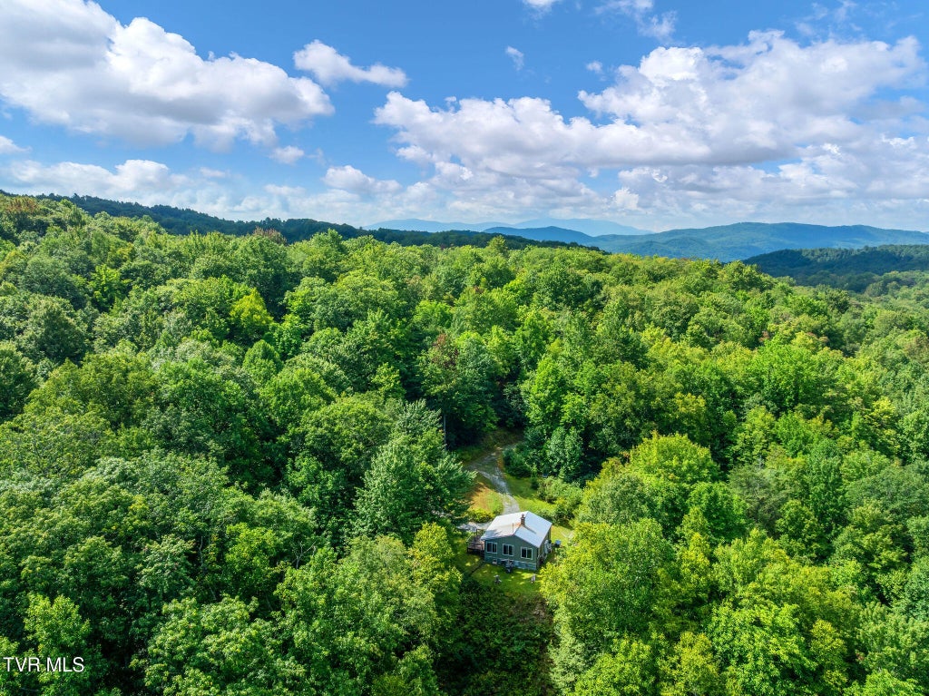 Photo of 1887 Dennis Cove Road, Hampton, TN 37658 (MLS # 10000446)