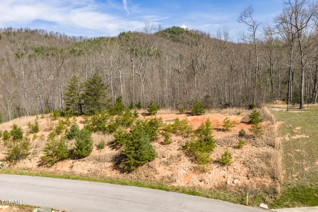 Photo of 47 Homestead Drive, Unicoi, TN 37692 (MLS # 9993414)