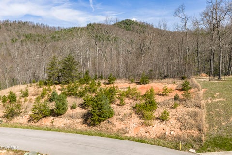 Vacant Land For Sale - LOT 47 Homestead Drive<br/> Unicoi County, Unicoi, TN 37692