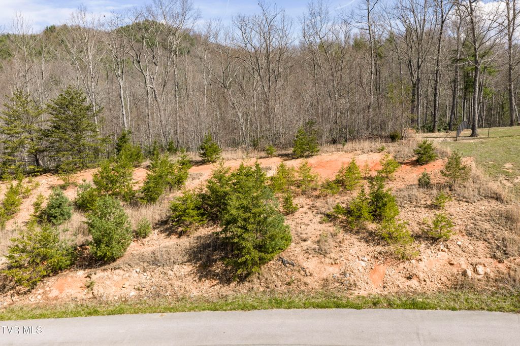 Photo of 47 Homestead Drive, Unicoi, TN 37692 (MLS # 9993414)