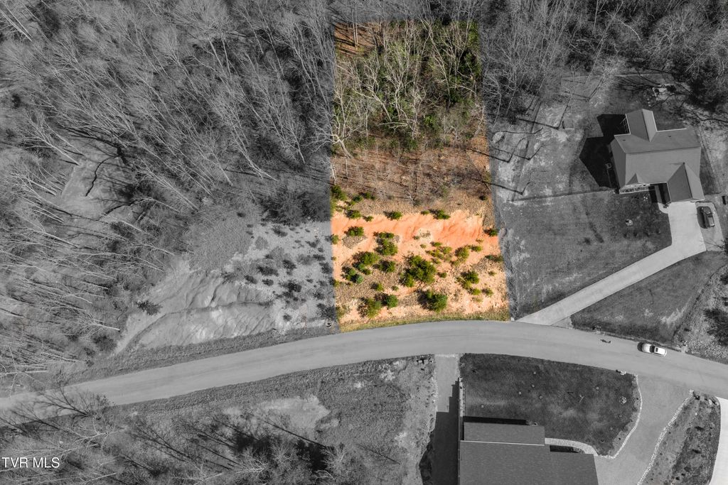 Photo of 47 Homestead Drive, Unicoi, TN 37692 (MLS # 9993414)