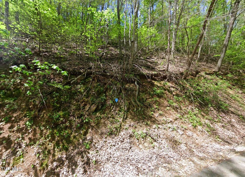 Photo of 1419 Indian Court, Sevierville, TN 37876 (MLS # 9989314)