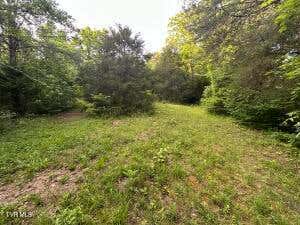 Vacant Land For Sale - 000 Carlos Road<br/> Sneedville, TN 37869