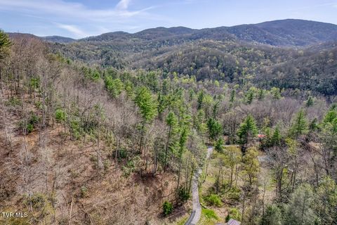 Photo of 155 Tower Road, Roan Mountain, TN 37687 (MLS # 9995295)