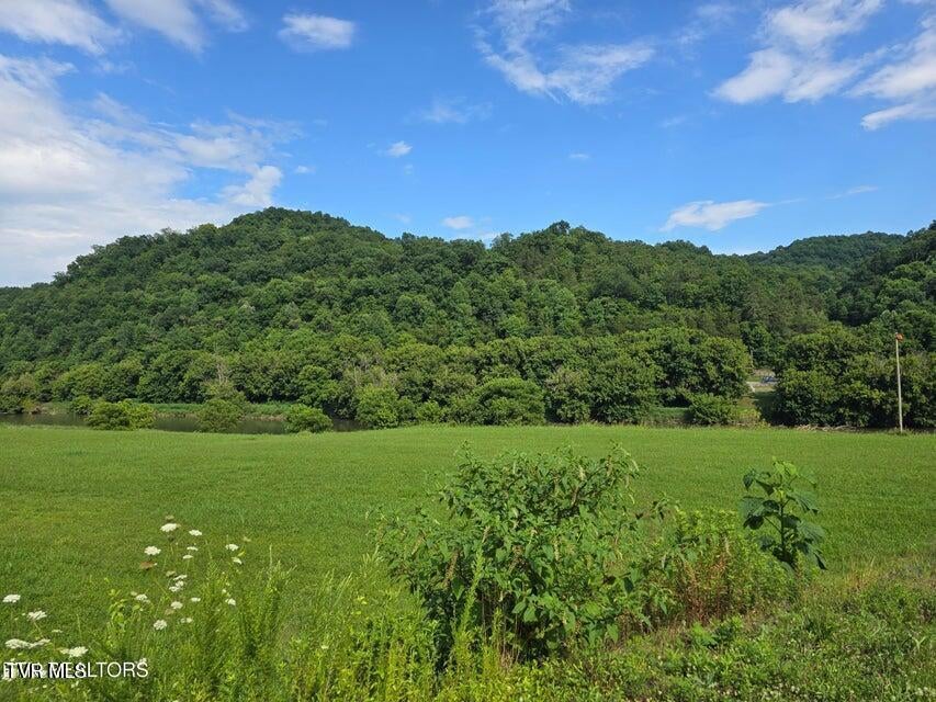 Photo of 78 Caney Valley Road, Sneedville, TN 37869 (MLS # 9998517)