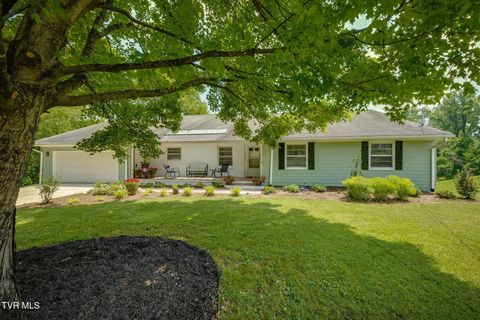 1314 Woodland Avenue Johnson City TN 37601