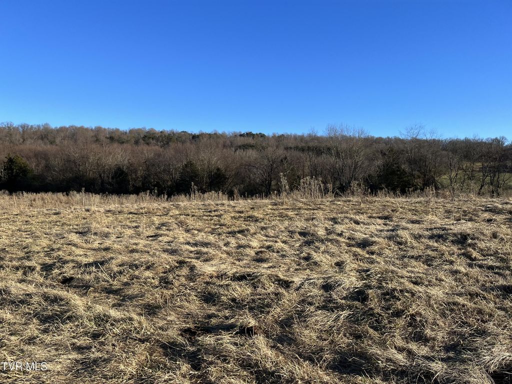 Photo of 3 Old Asheville Highway, Greeneville, TN 37743 (MLS # 9961029)