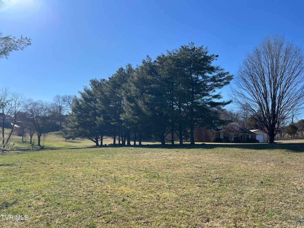 Photo of 0 Primrose Court, Mount Carmel, TN 37645 (MLS # 9991686)