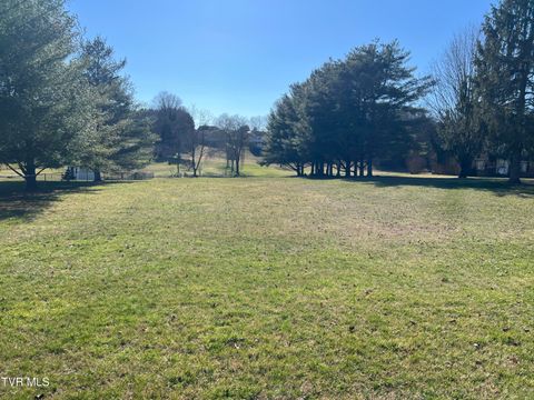 Vacant Land For Sale - Primrose Court<br/> Mount Carmel, TN 37645