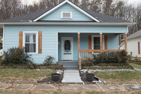 Photo of 422 Opekiska Street, Erwin, TN 37650 (MLS # 9990734)