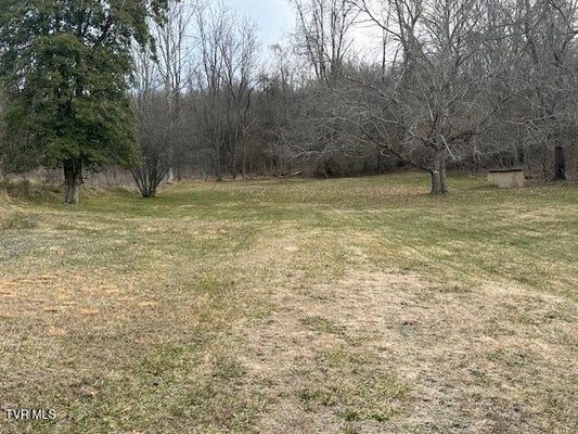 21515 CLEAR CREEK RD, BRISTOL, VA 24202 - Image 2406ee251e5e0a66485c2fa8ef4fb679/4186459692